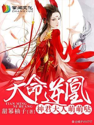 全网最火穿越小说