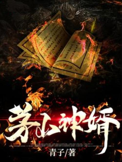 茅山女婿截图
