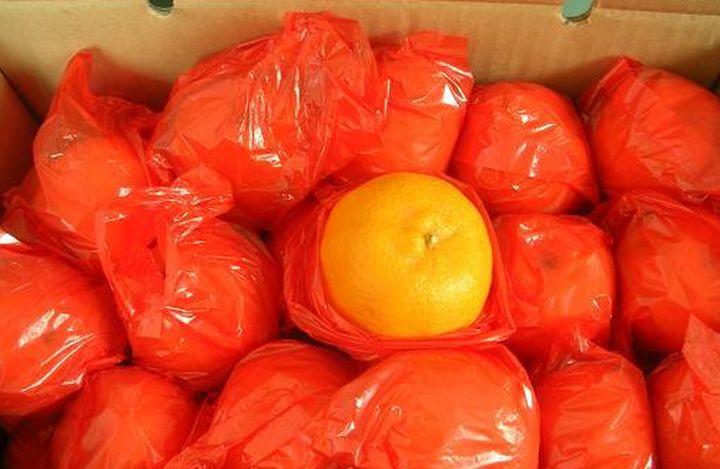 芦柑为什么要包塑料袋截图
