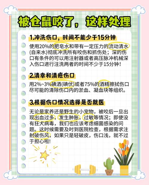 被仓鼠咬伤我生病