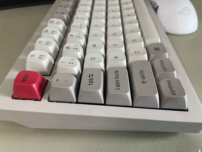 Mc开发者工具图标