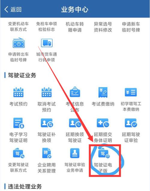 支付宝电子驾驶证可以用吗