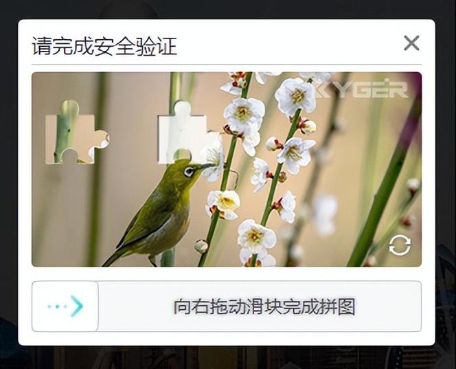 支付宝莫名收到验证码截图