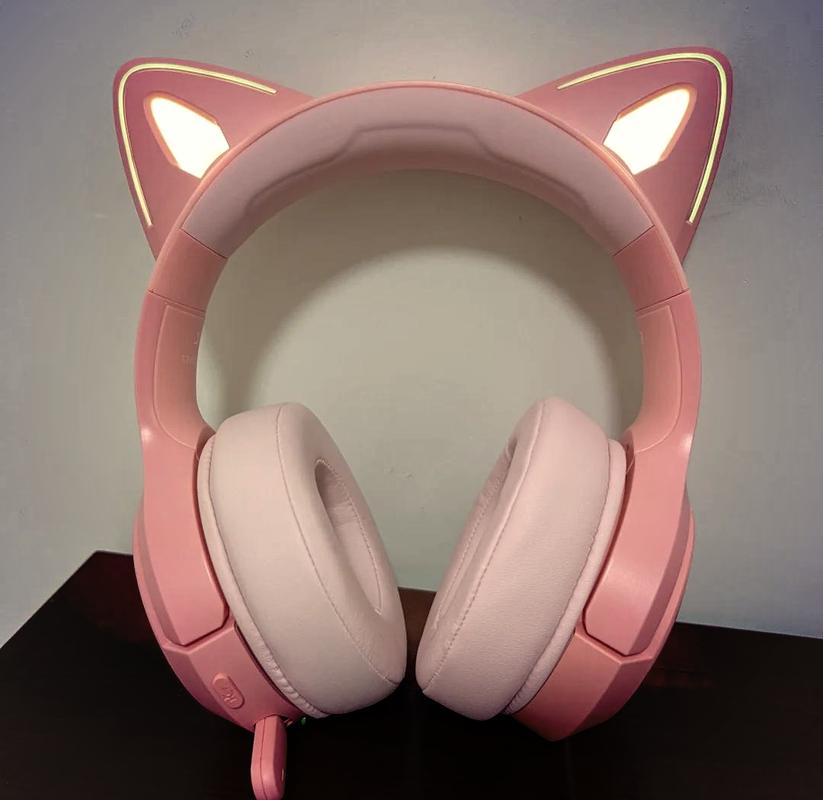 猫耳fm免付费版咋用图标