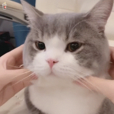 双手揉脸表情包