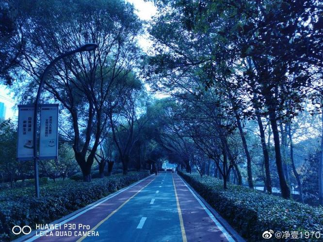 小米11Ultra 拍照