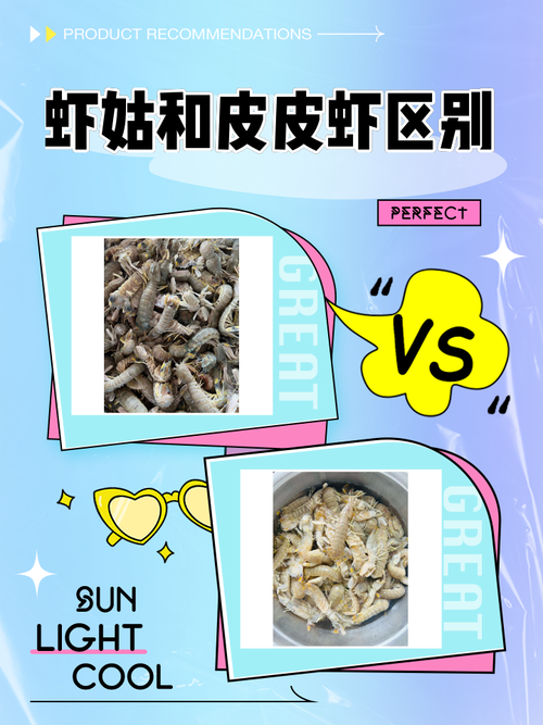 姑虾和皮皮虾的区别缩略图