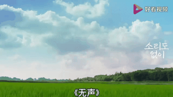 视频加载了,但加载不了截图