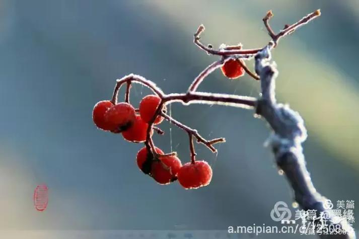 红果2023历史旧版大全游戏截图
