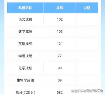 董子凡高考成绩截图