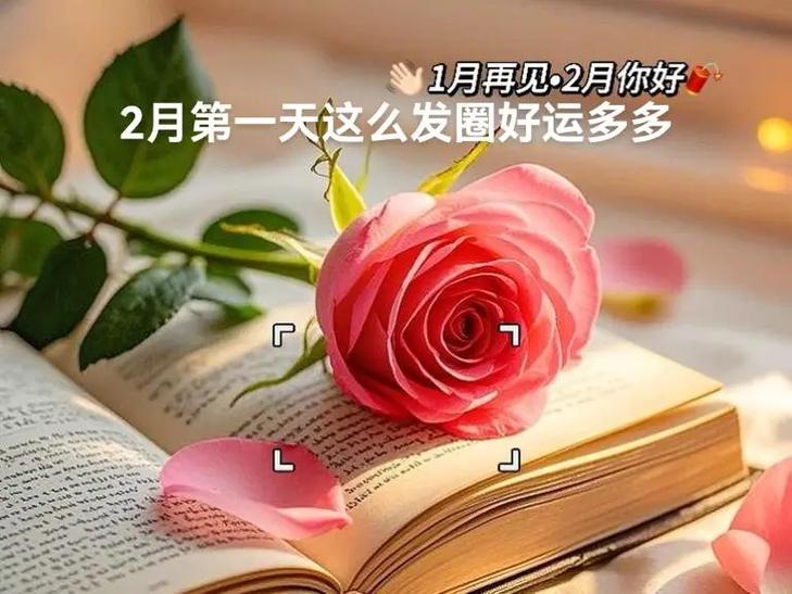 分享乐发圈app