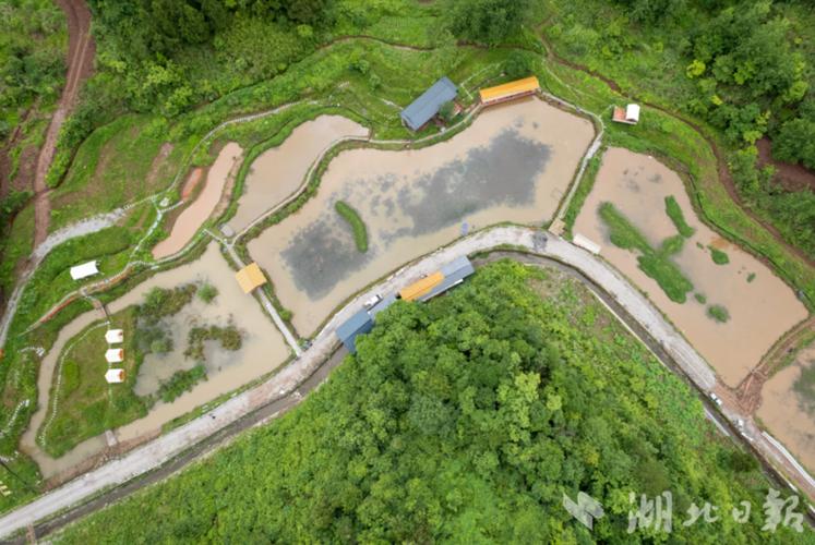 我的世界村民种地缩略图