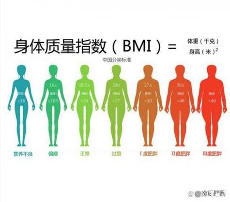 快走对减肥有用吗?缩略图
