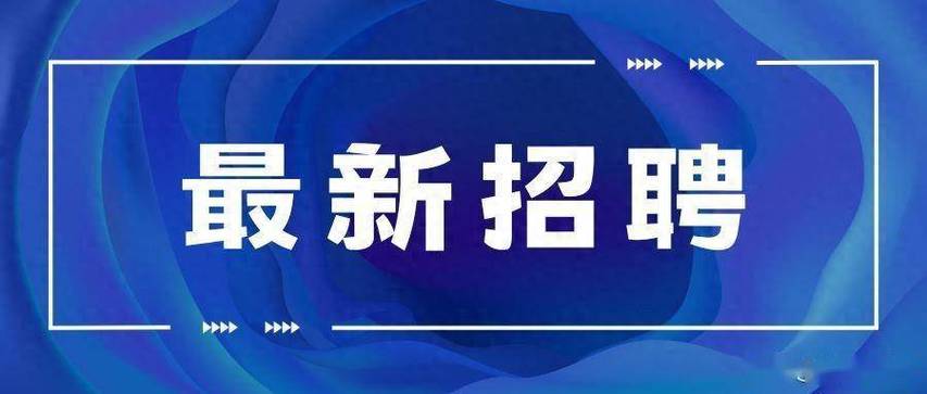 招聘网最新招聘游戏截图