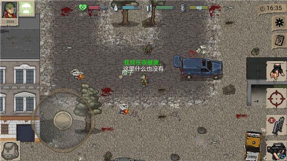 迷你dayz破解版图标