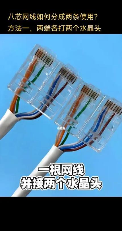 一根网线两家用怎么用啊缩略图