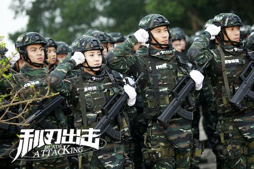 武警特战队电视剧大全免费观看缩略图