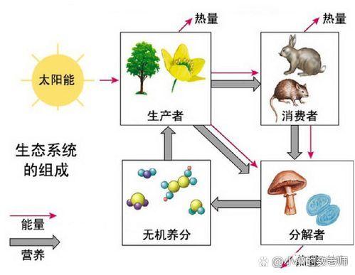 生态系统的游戏截图