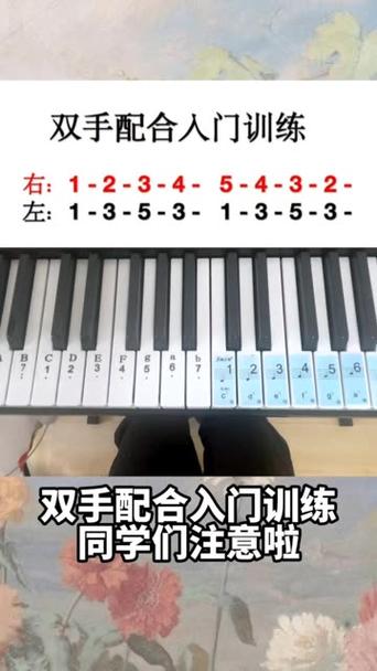 电子琴左手最简单的弹法截图
