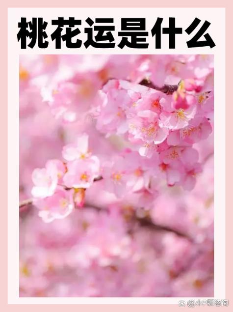 桃花聊截图