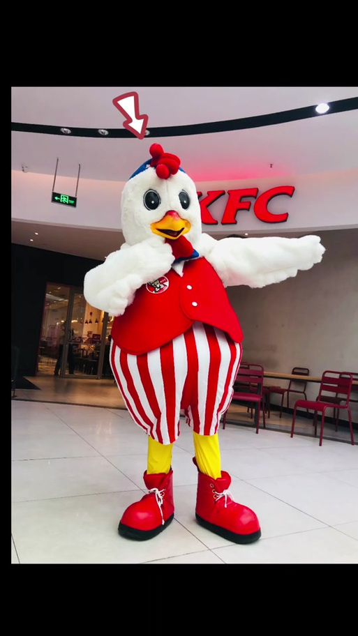 奇奇动物乐园肯德基