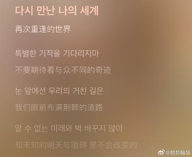 孙露歌曲再度重逢的歌词图标