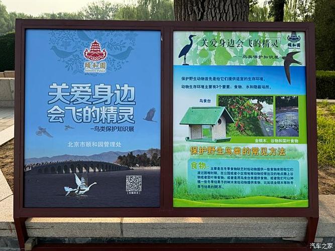 中国鸟类论坛官网入口缩略图
