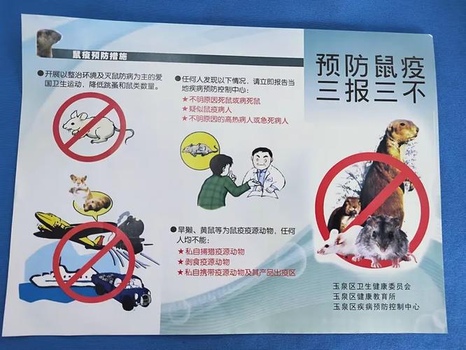 仓鼠咬了会得鼠疫吗