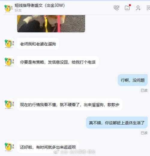 微博更新后进不去了图标