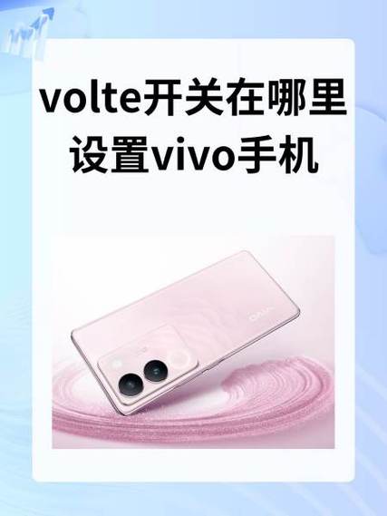 volte功能vivo如何开启