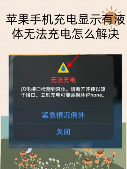 苹果5没电了充了很久都开不了