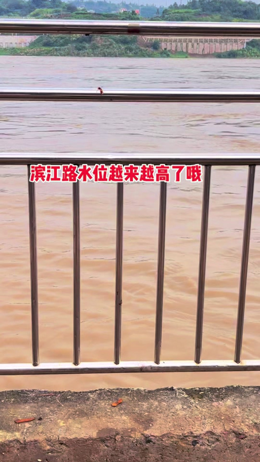 重庆寸滩水位实时水位查询图标
