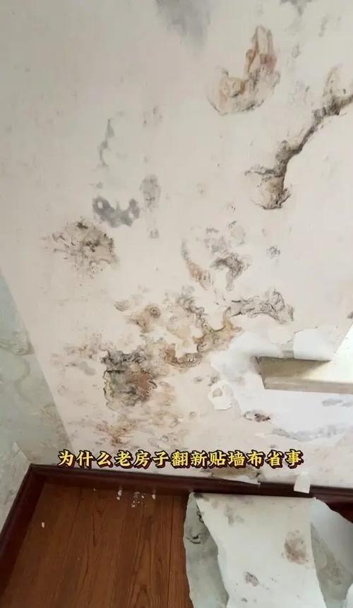 墙布磕碰如何补救游戏截图