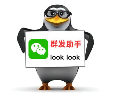 微信群群发工具图标