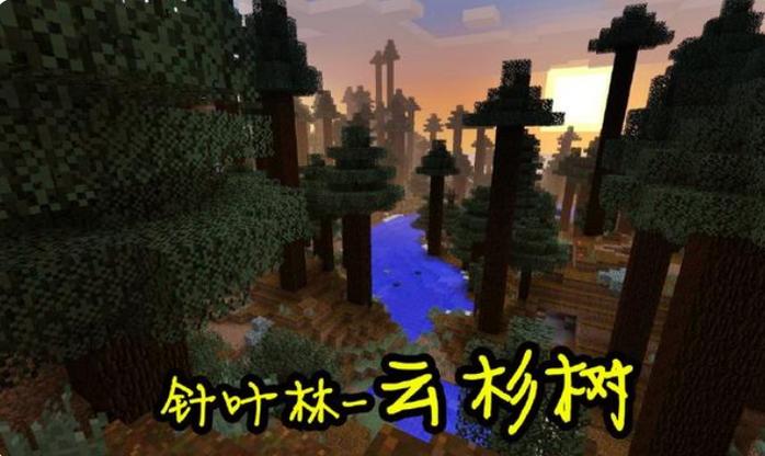 我的世界云杉树林坐标游戏截图