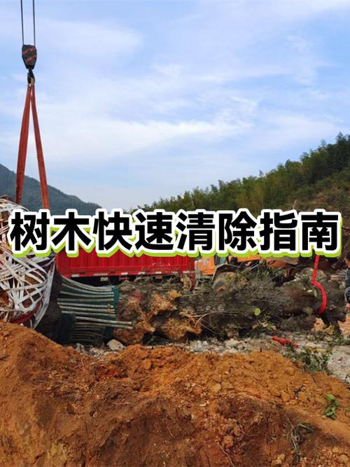 刮树皮最快的方法截图