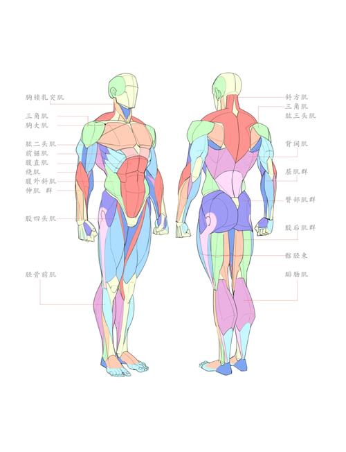 posey是身体哪个部位游戏截图