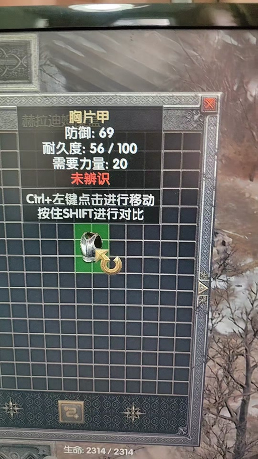 暗黑破坏神2重制版大箱子补丁游戏截图