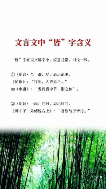 皆什么意思截图