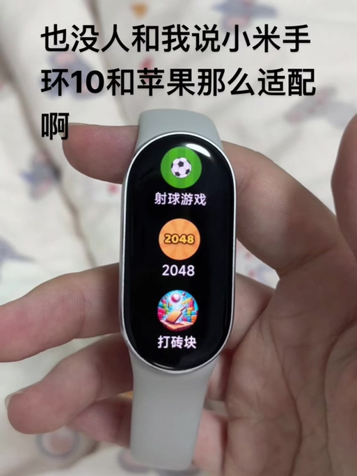 小米手环10TXT资源下载