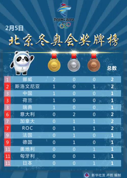 冬奥会金牌榜第一的国家截图