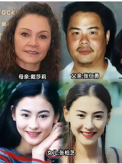 张语芯和张柏芝谁更牛图标