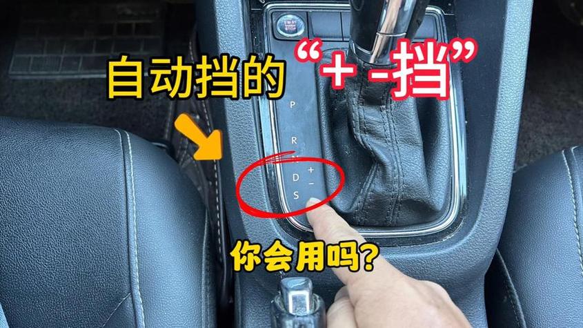 D档和D1D2的区别游戏截图