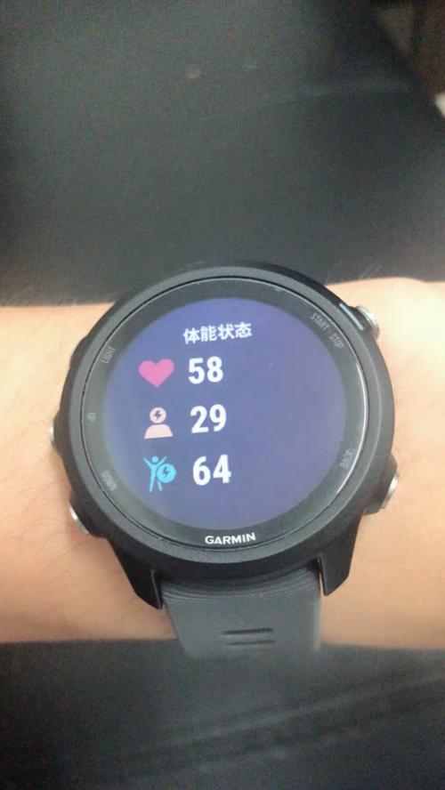 佳明245怎么调整时间截图