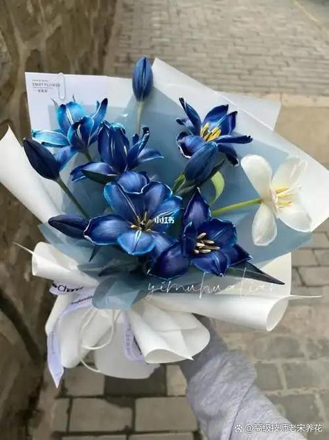 blued软件下载缩略图