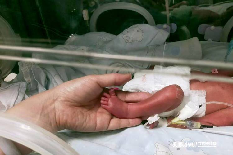 公主的新生小宝宝2下载安装