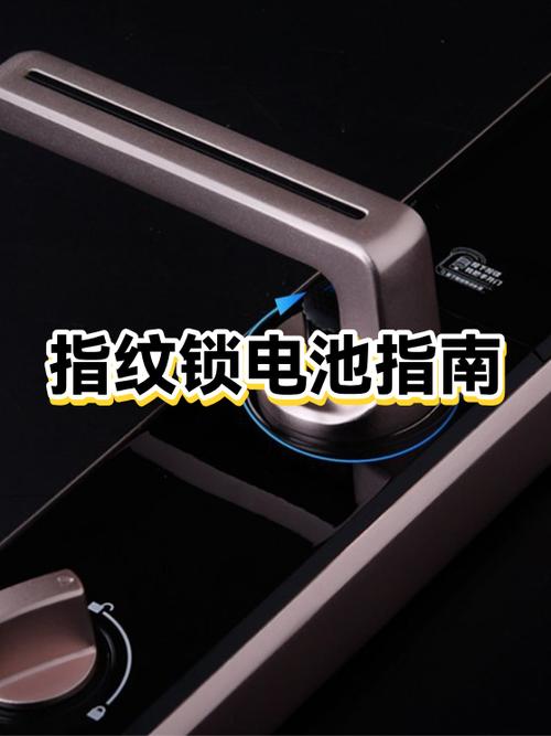 指纹锁换电池要重新设置吗游戏截图