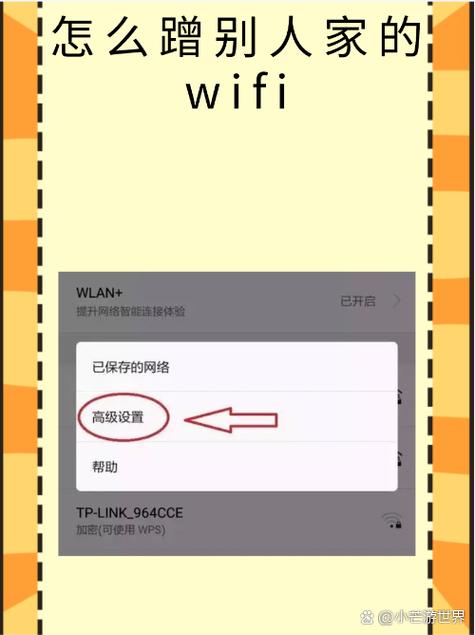 WIF缩写代表什么