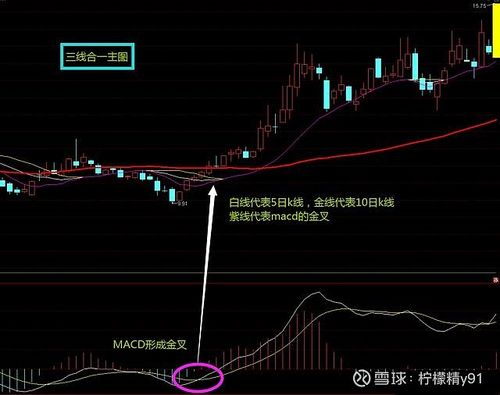 最新版三线合一主图指标截图