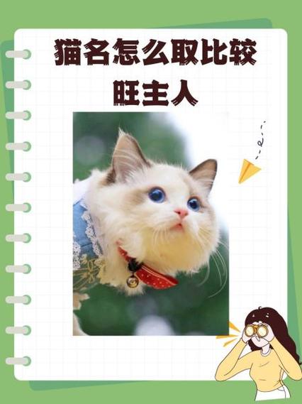 猫咪取什么名字旺主人截图